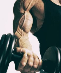 Bodybuilding supplements